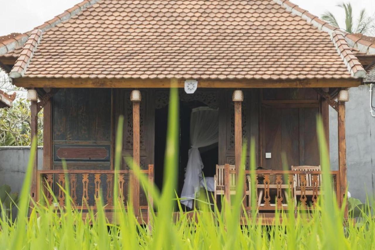 Kishi-Kishi Otel Ubud Dış mekan fotoğraf