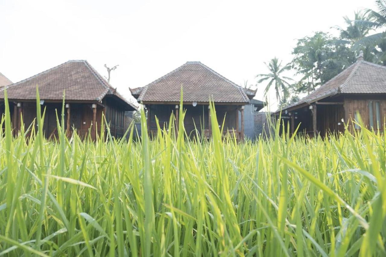 Kishi-Kishi Otel Ubud Dış mekan fotoğraf