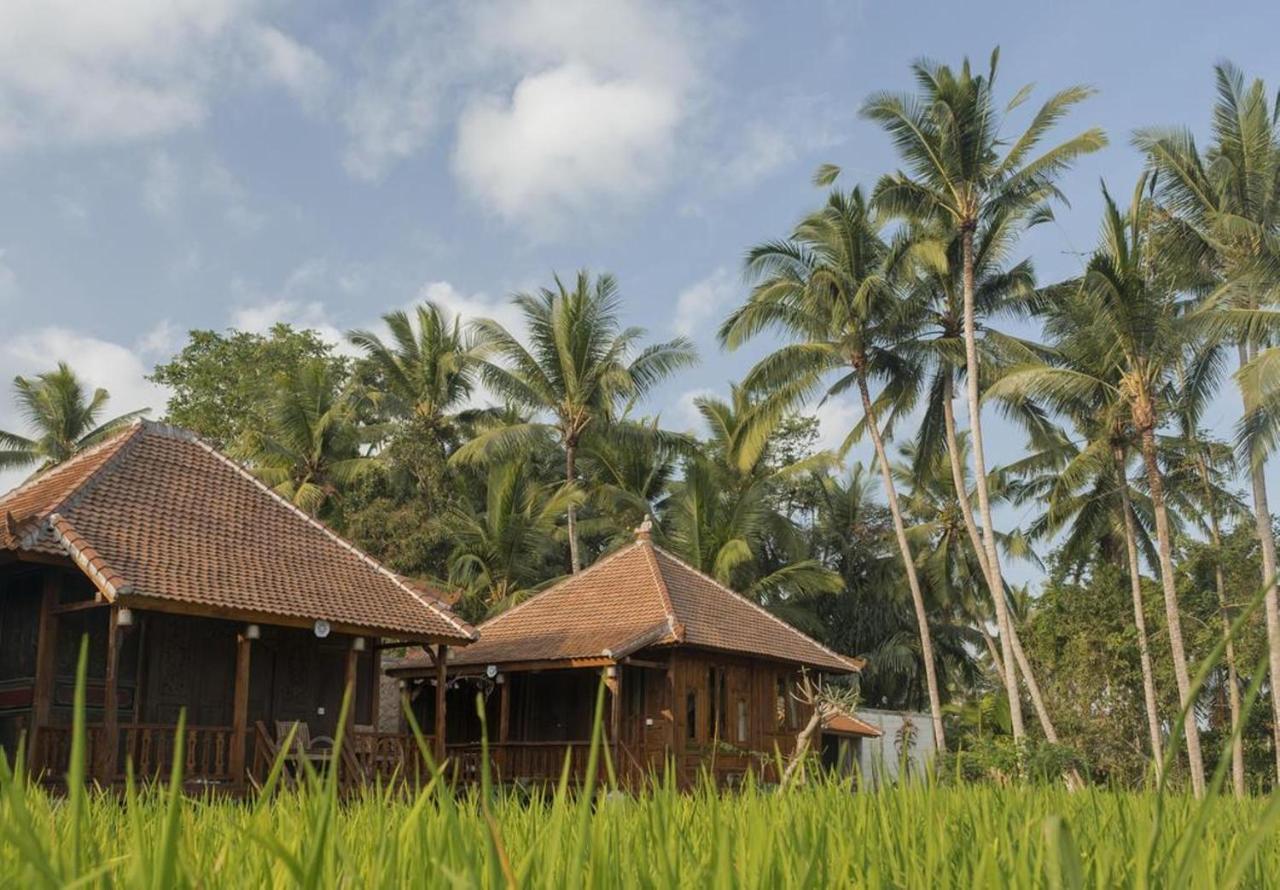 Kishi-Kishi Otel Ubud Dış mekan fotoğraf