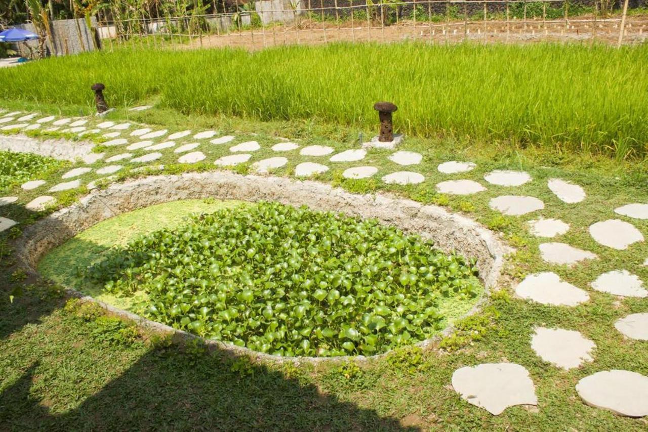 Kishi-Kishi Otel Ubud Dış mekan fotoğraf