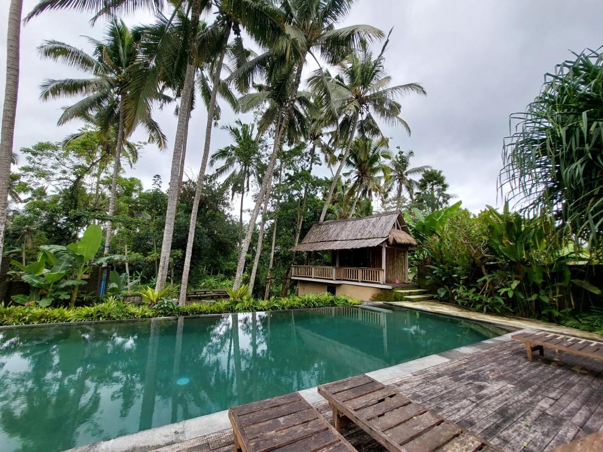 Kishi-Kishi Otel Ubud Dış mekan fotoğraf