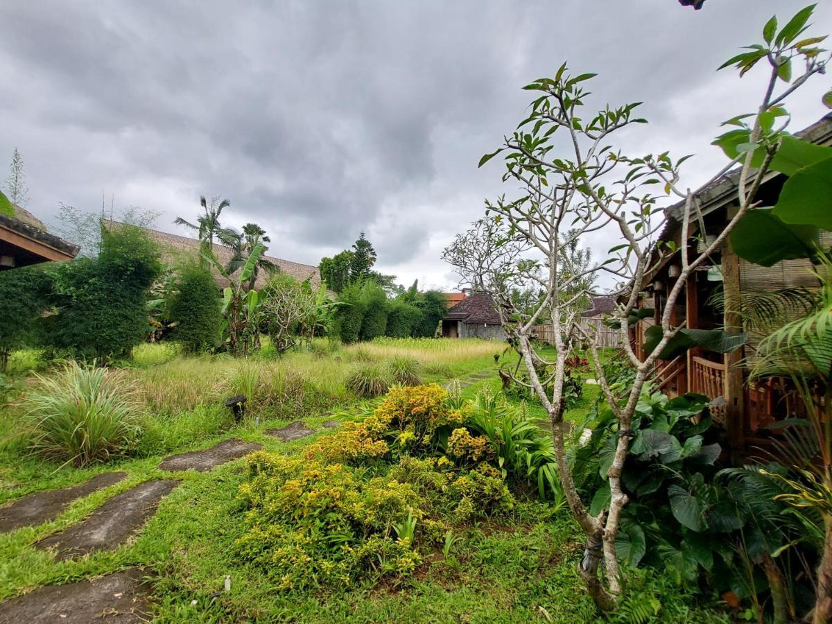 Kishi-Kishi Otel Ubud Dış mekan fotoğraf